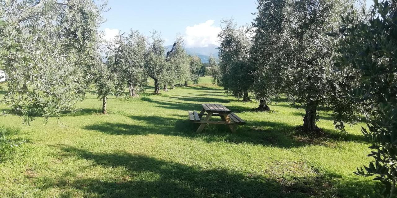 Agriturismo Fioralba Polpenazze del Garda Luaran gambar
