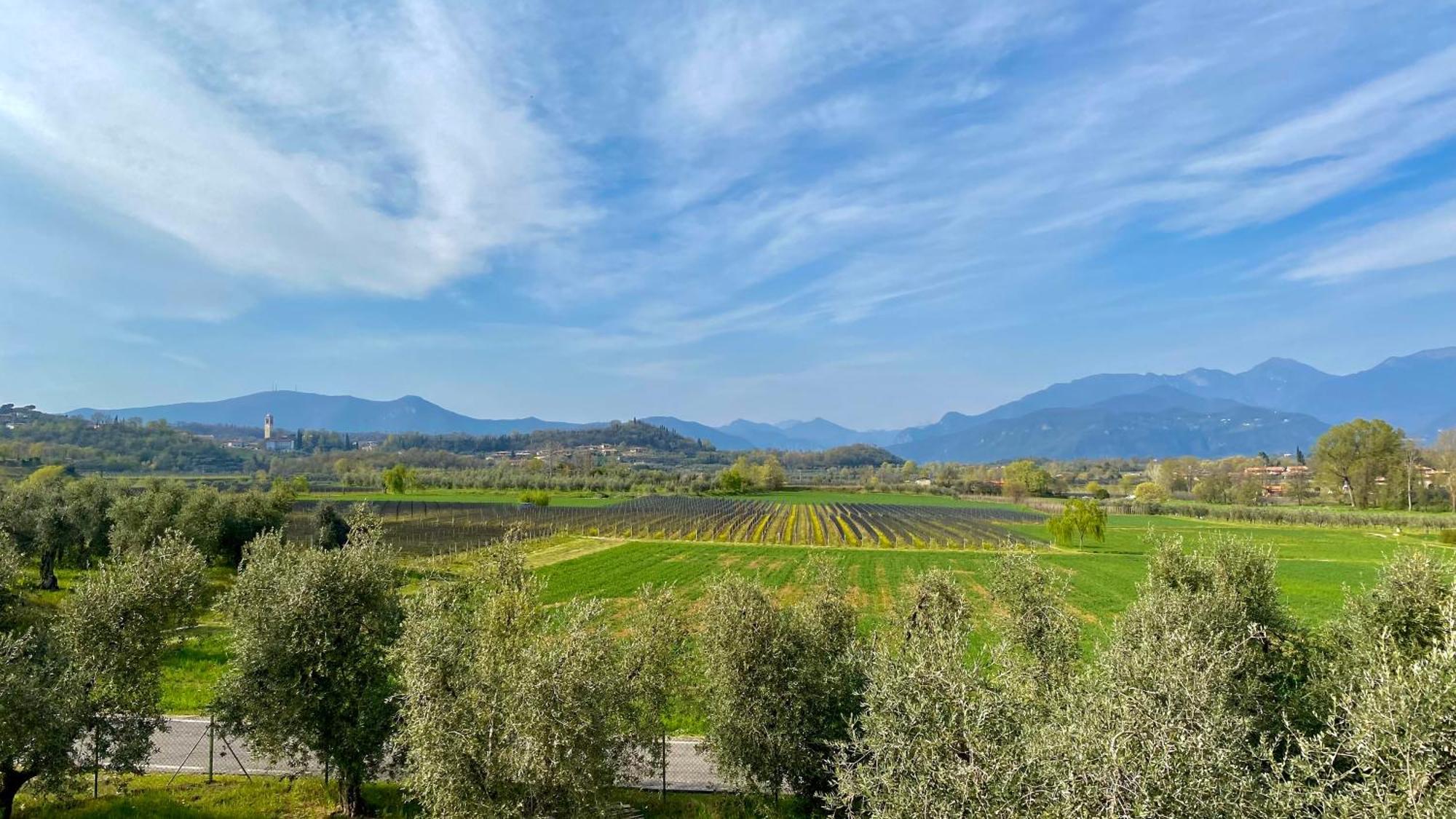 Agriturismo Fioralba Polpenazze del Garda Luaran gambar