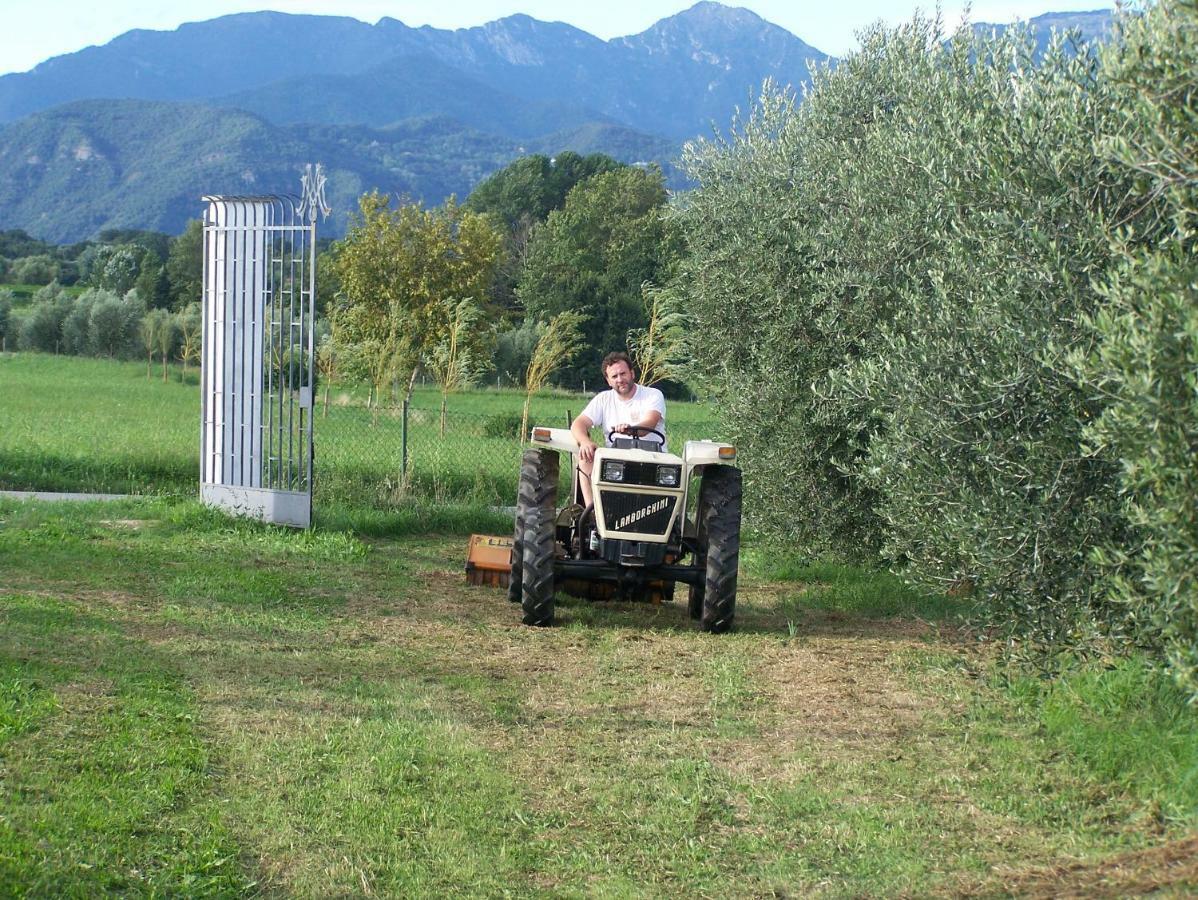 Agriturismo Fioralba Polpenazze del Garda Luaran gambar