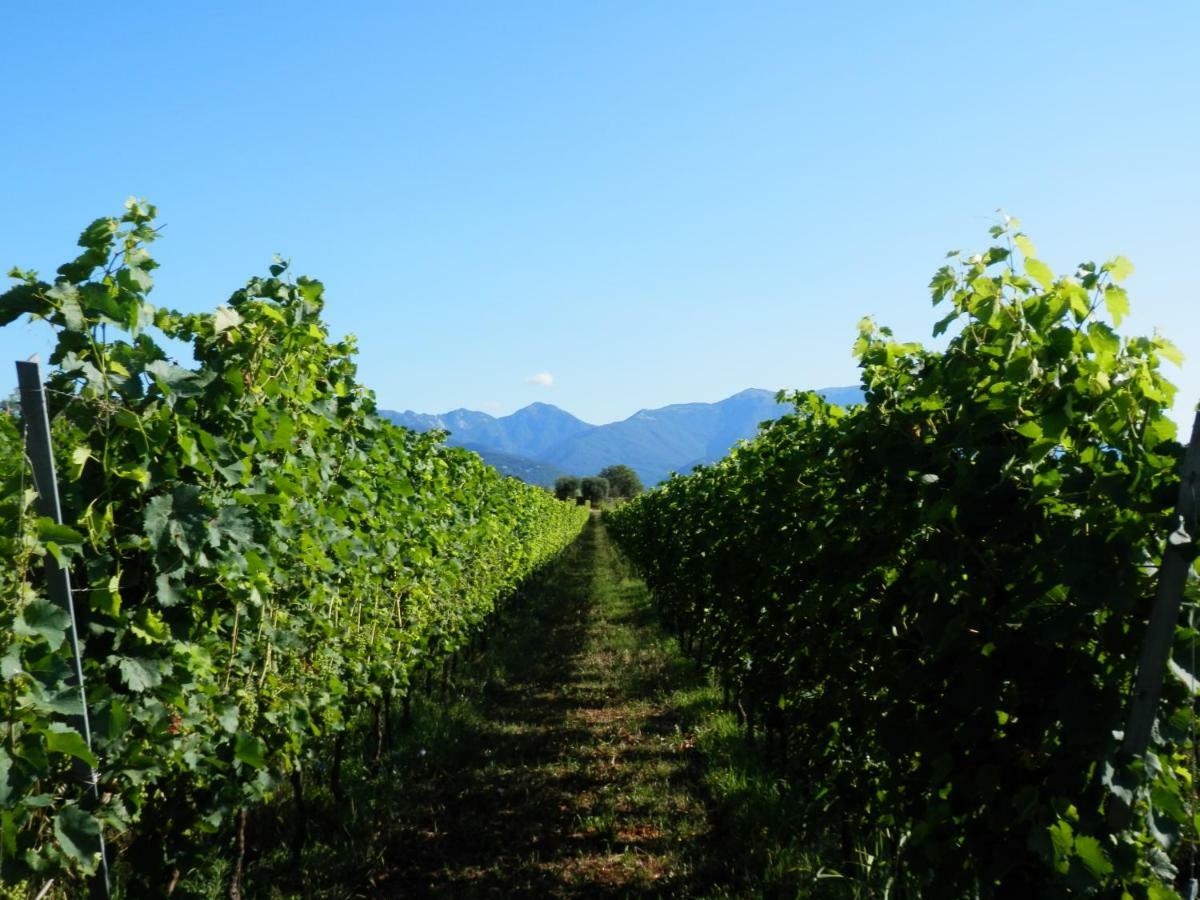 Agriturismo Fioralba Polpenazze del Garda Luaran gambar