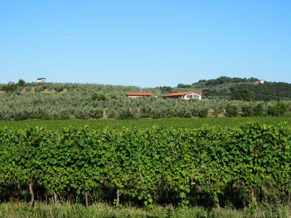 Agriturismo Fioralba Polpenazze del Garda Luaran gambar