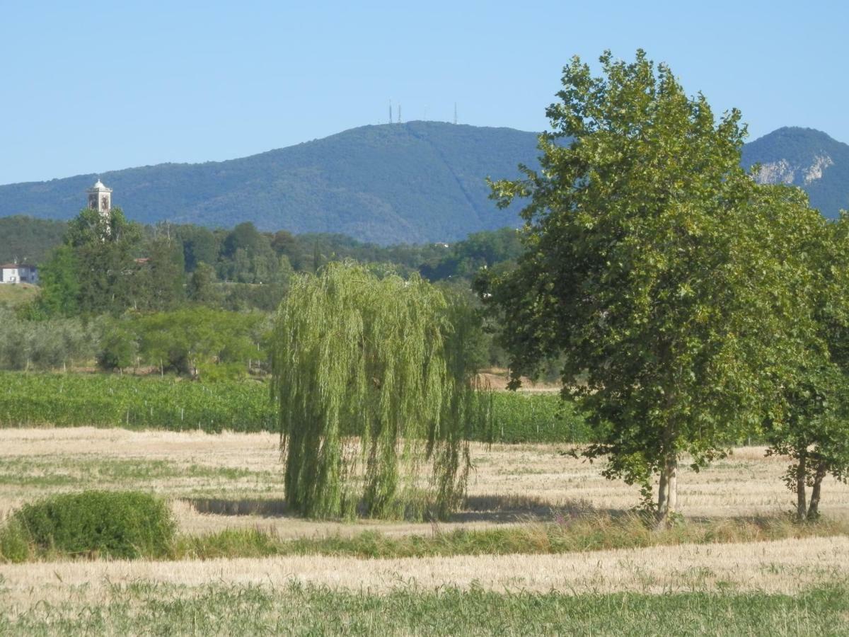 Agriturismo Fioralba Polpenazze del Garda Luaran gambar